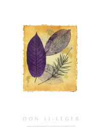 Leaf Lines II by Don Li-Leger