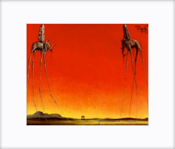 Les Elephants by Salvador Dali