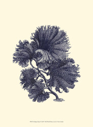 Indigo Kelp I by Vision Studio