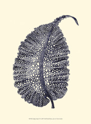 Indigo Kelp IV by Vision Studio