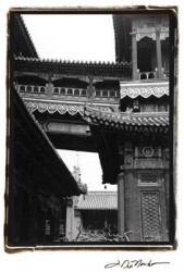 Noble Bridge Beijing by Laura Denardo