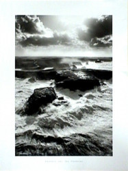 Lumiere Sur les Poulains by Guillaume Plisson