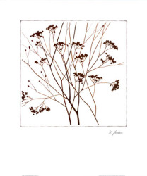 Autumn Whimsy III by Horst Jonas