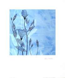 Cosmopolitan Blue II by Rosie McLean