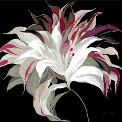 Lily XXI by Sally Scaffardi
