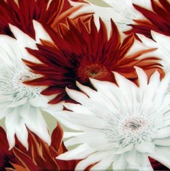 Elation I by Sally Scaffardi