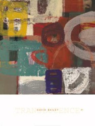 Translucence I by David Bailey