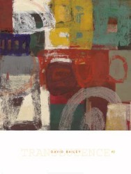 Translucence II by David Bailey