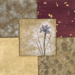 Seasons One by Kimberly Baker