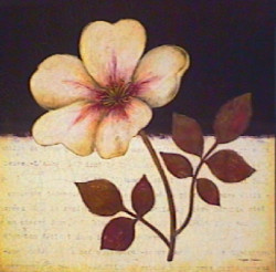 Literary Floral I by Regina Andrew Design