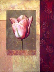 Tulipe Rosee by Fabrice de Villeneuve