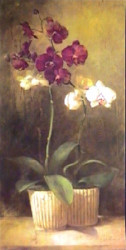 Orchid Mistique II by Fabrice de Villeneuve