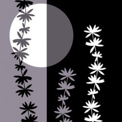 Crepuscule Floral II by Magalie Desire