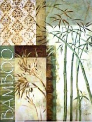 Bamboo Design by Fabrice de Villeneuve