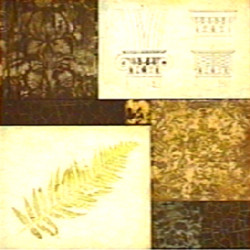 Botanical Story II by Studio 5