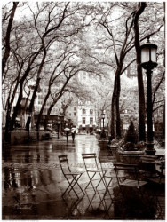 April Showers by Toby Vandenack