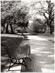 April in Paris by Toby Vandenack