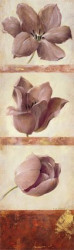Plum Tulip Trilogy by Fabrice de Villeneuve