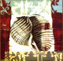 Shell Concepts I by Deljou Art Group