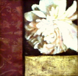 Floral Concepts I by Deljou Art Group