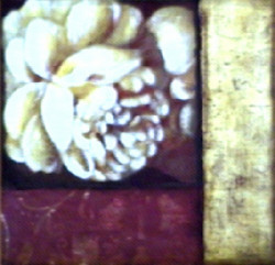 Floral Concepts II by Deljou Art Group