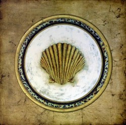 Glamour Scallop