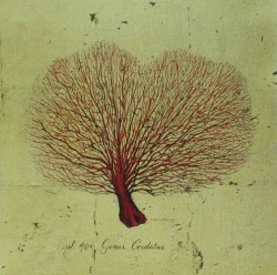 Red Coral 3 by Marco Fabiano