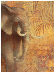 Safari by Gosia Gajewska