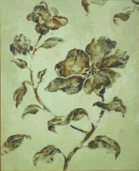 Fresco Rosa by Mandy Boursico