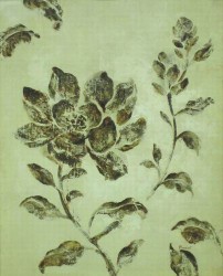 Fresco Magnolia by Mandy Boursico