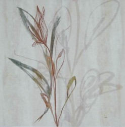 Everglade Silhouette