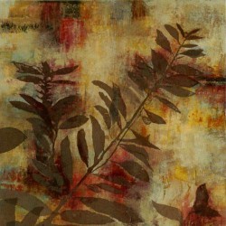 Nature's Shadows 2 by Jane Bellows