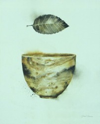 Field Study Wood Grain