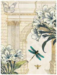 Architect's Garden by Devon Ross