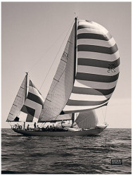 Gemini's Sails by Mystic Seaport