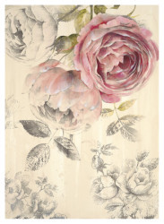 Ethereal Roses 1 by Stefania Ferri