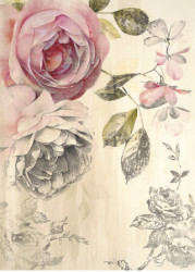Ethereal Roses 2 by Stefania Ferri