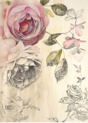 Ethereal Roses 2 by Stefania Ferri