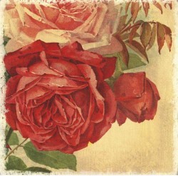 Pretty Rose by Studio Voltaire