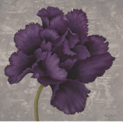 Black Plum I by Ariane Martine