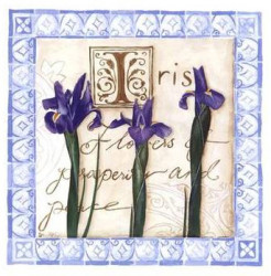Iris: Flowers of Prosperity by Danielle Hely