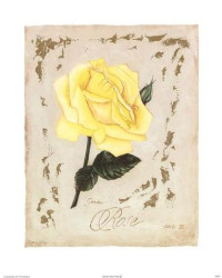 Garden Rose Plate III by Danielle Hely