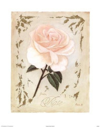 Garden Rose Plate II