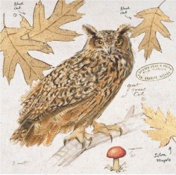 Great Horned Owl by Chad Barrett