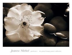 Gardenia I by Jeanne Michel