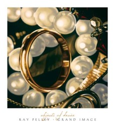 Objects of Desire by Ray Pelley