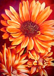 SunnySide Up by Angela Bionda