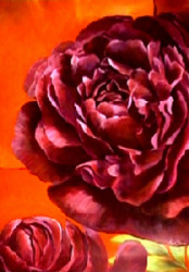 Purple Peony by Angela Bionda