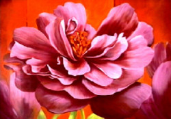 Think Pink by Angela Bionda