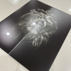 Comparison of Clear vs Non-Reflective